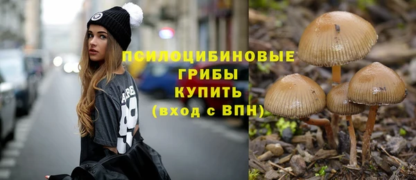 прущие грибы Новодвинск