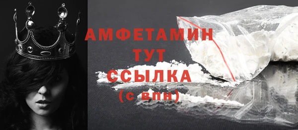прущие грибы Новодвинск