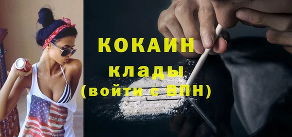 прущие грибы Новодвинск