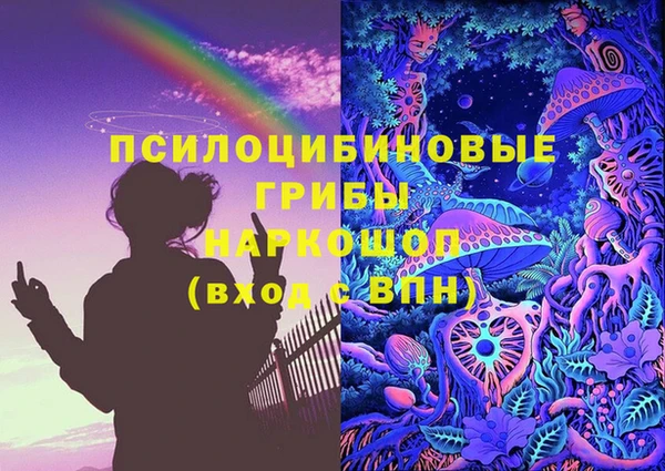 PSILOCYBIN Новокубанск
