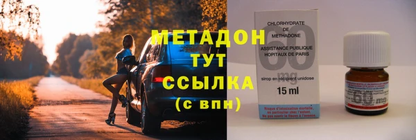 прущие грибы Новодвинск