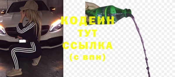 прущие грибы Новодвинск