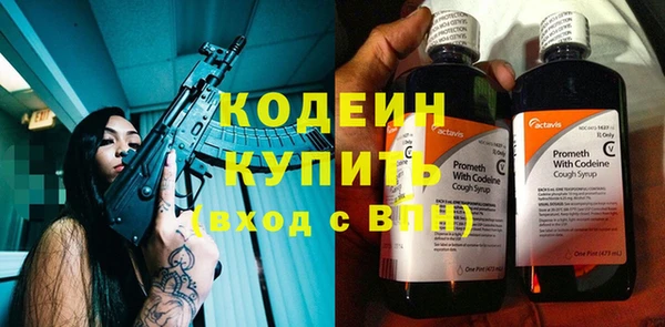 прущие грибы Новодвинск