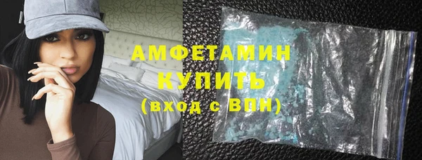 прущие грибы Новодвинск