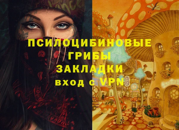 прущие грибы Новодвинск