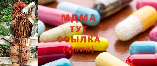 прущие грибы Новодвинск