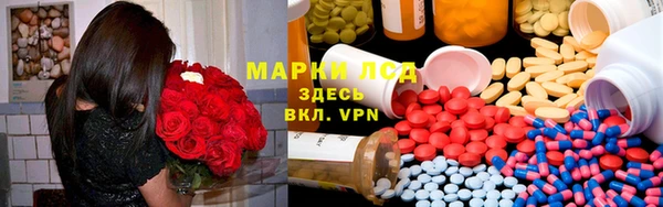 прущие грибы Новодвинск