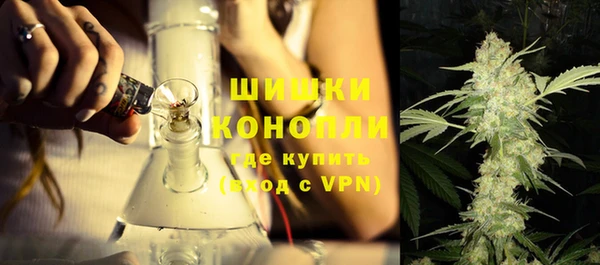 PSILOCYBIN Новокубанск