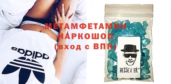 прущие грибы Новодвинск