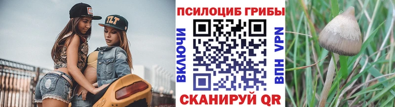 где продают   Белоярский  Псилоцибиновые грибы Psilocybine cubensis 
